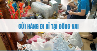 Gửi hàng đi Bỉ tại Đồng Nai